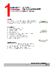 DSR-CSS Datasheet HTML 1Page - DOMINANT Semiconductors 