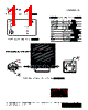 RA32E1-RUT-FR Datasheet HTML 11Page - SHENZHEN REFOND OPTOELECTRONICS CO.,LTD. 