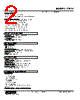 47LYV-DYR-R Datasheet HTML 2Page - M-System Co.,Ltd. 