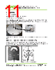 84275-R1 Datasheet HTML 11Page - VAT Group AG 