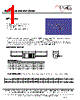 MF1304T-R68 Datasheet HTML 1Page - ECM Electronics Limited. 