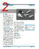 31-218-RFX Datasheet HTML 2Page - Amphenol Corporation 