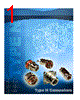 082-346-RFX Datasheet HTML 1Page - Amphenol Corporation 