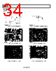 ADRF6850BCPZ-R7 Datasheet HTML 34Page - Analog Devices 