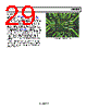 ADRF6820ACPZ-R7 Datasheet HTML 29Page - Analog Devices 