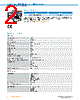 IRS100-R53MF30 Datasheet HTML 2Page - SICK AG 