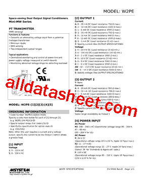 W2PE-1GA-R2/CE Datasheet PDF - M-System Co.,Ltd.